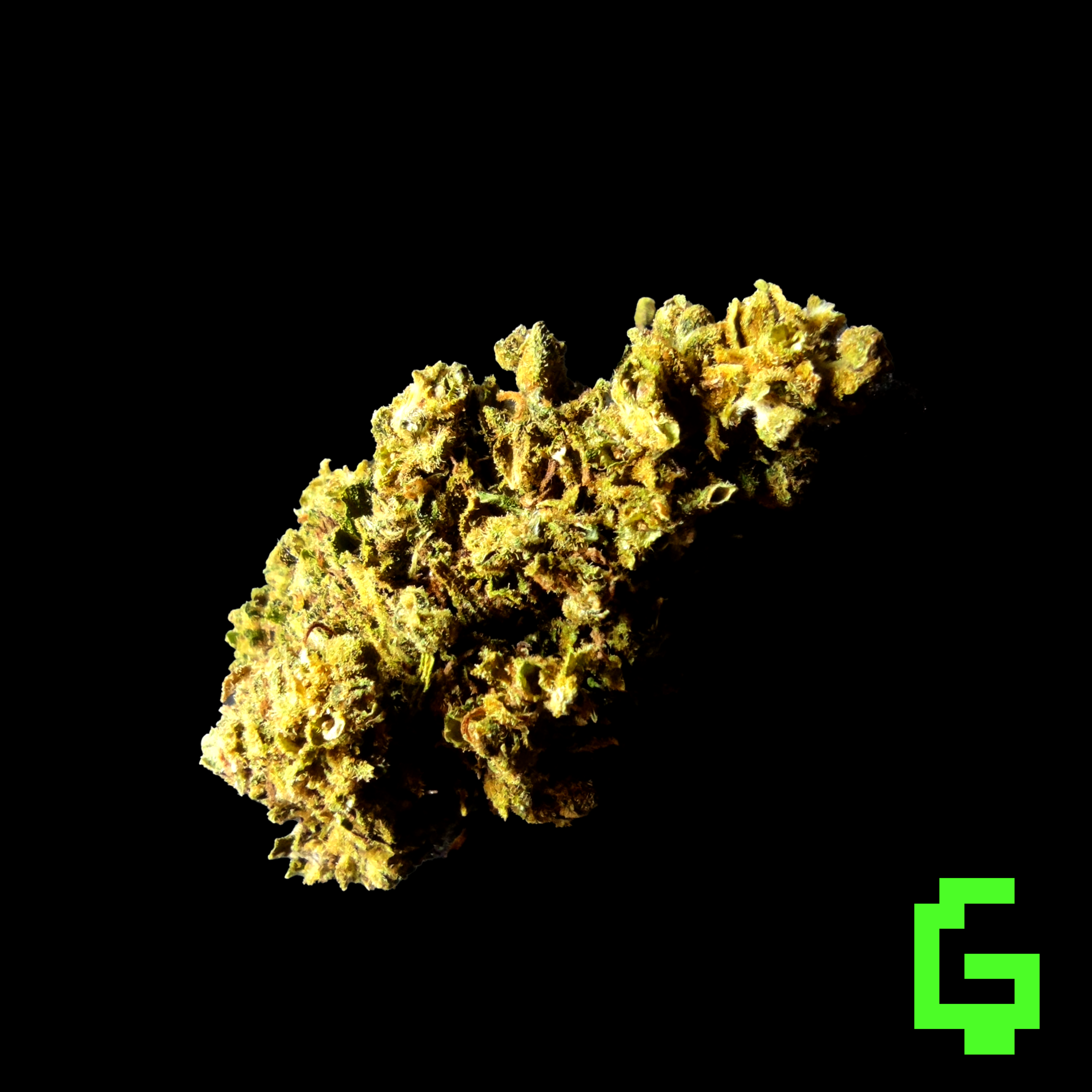 Green Ghost 🌿👻 Degen Weed Shop Gorilla Goo Strain