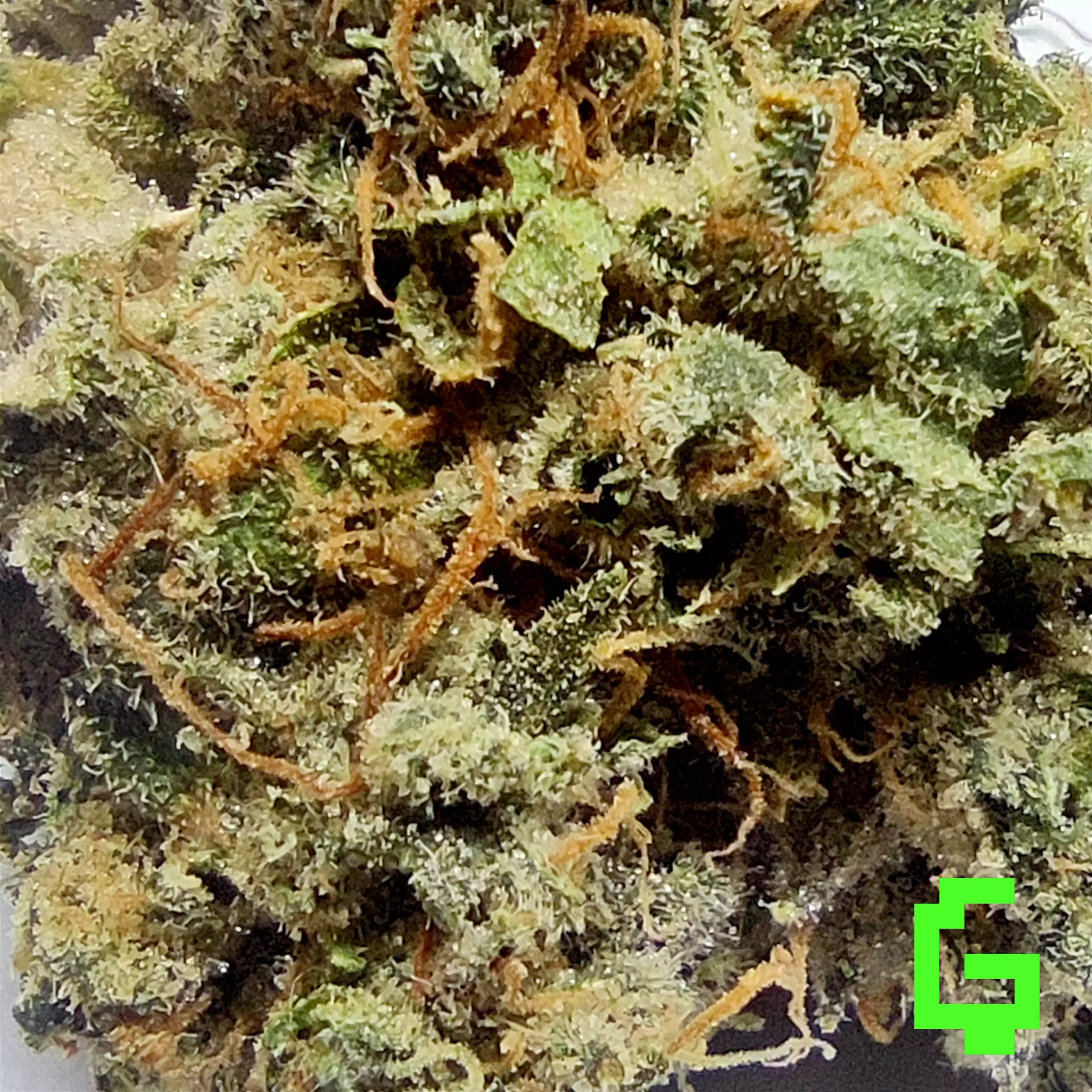 Green Ghost 🌿👻 Degen Weed Shop Next Level Strain