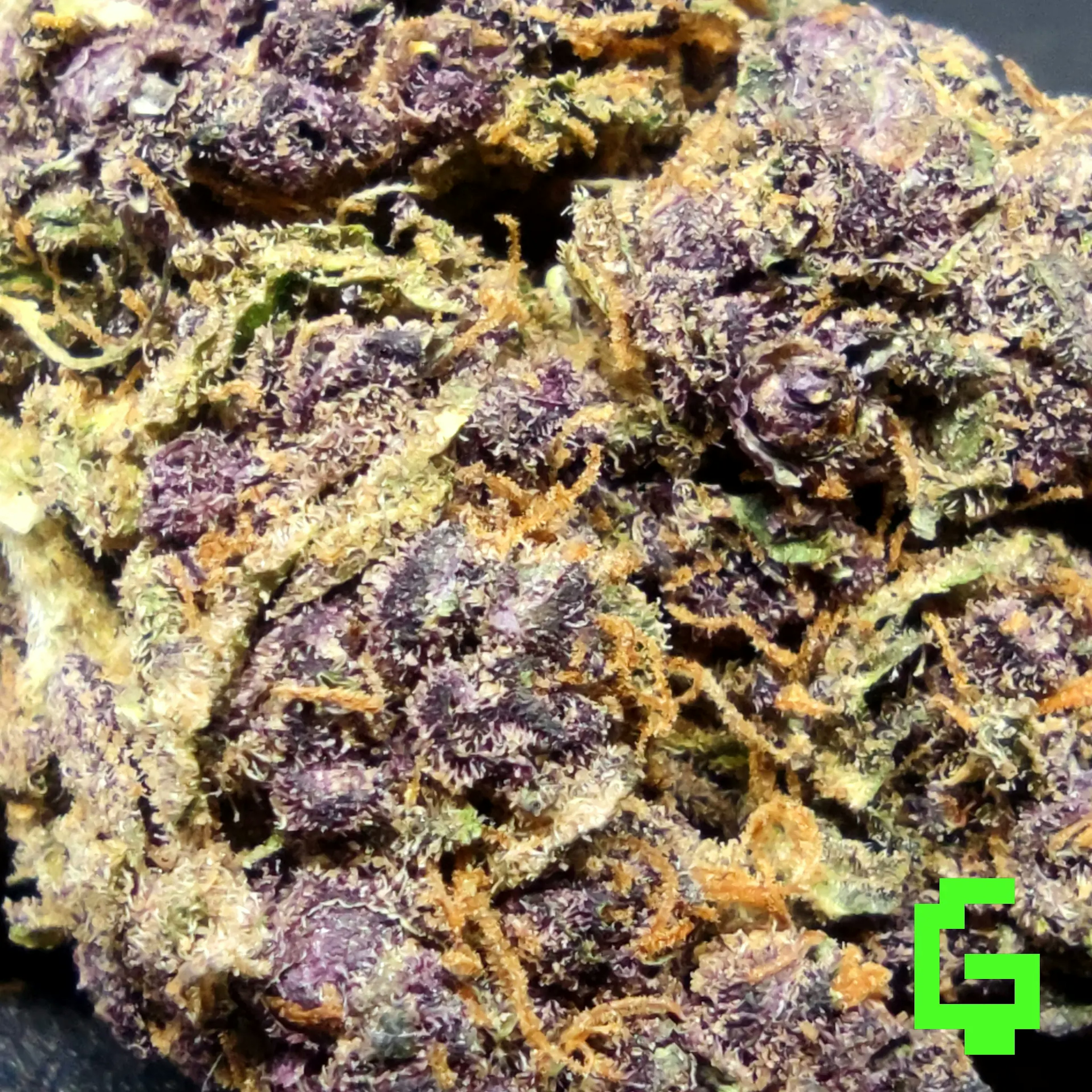 Green Ghost 🌿👻 Degen Weed Shop Purple Queen Strain