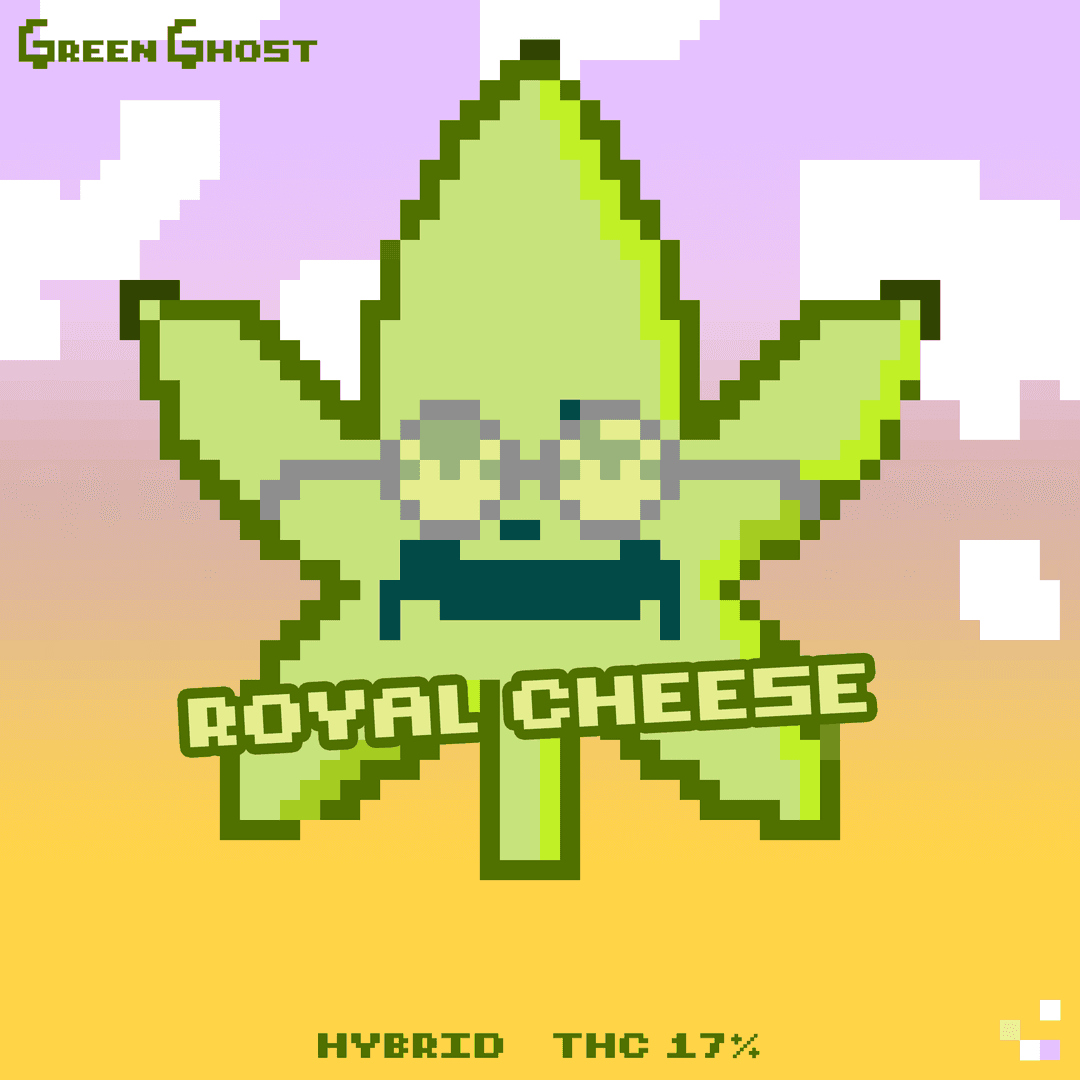 Green Ghost - Degen Weed Shop - Strain Royal Cheese