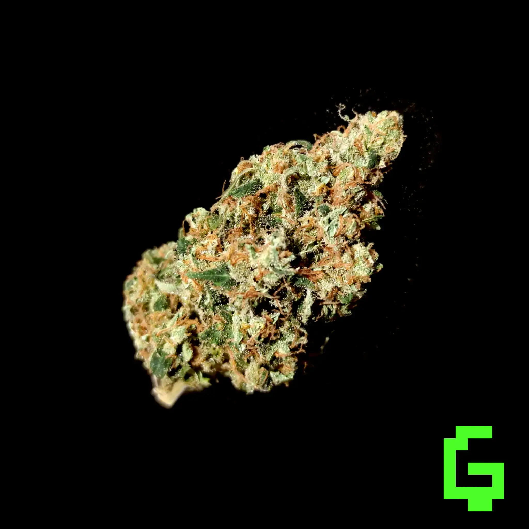 Green Ghost - Degen Weed Shop - Strain Amnesia Haze