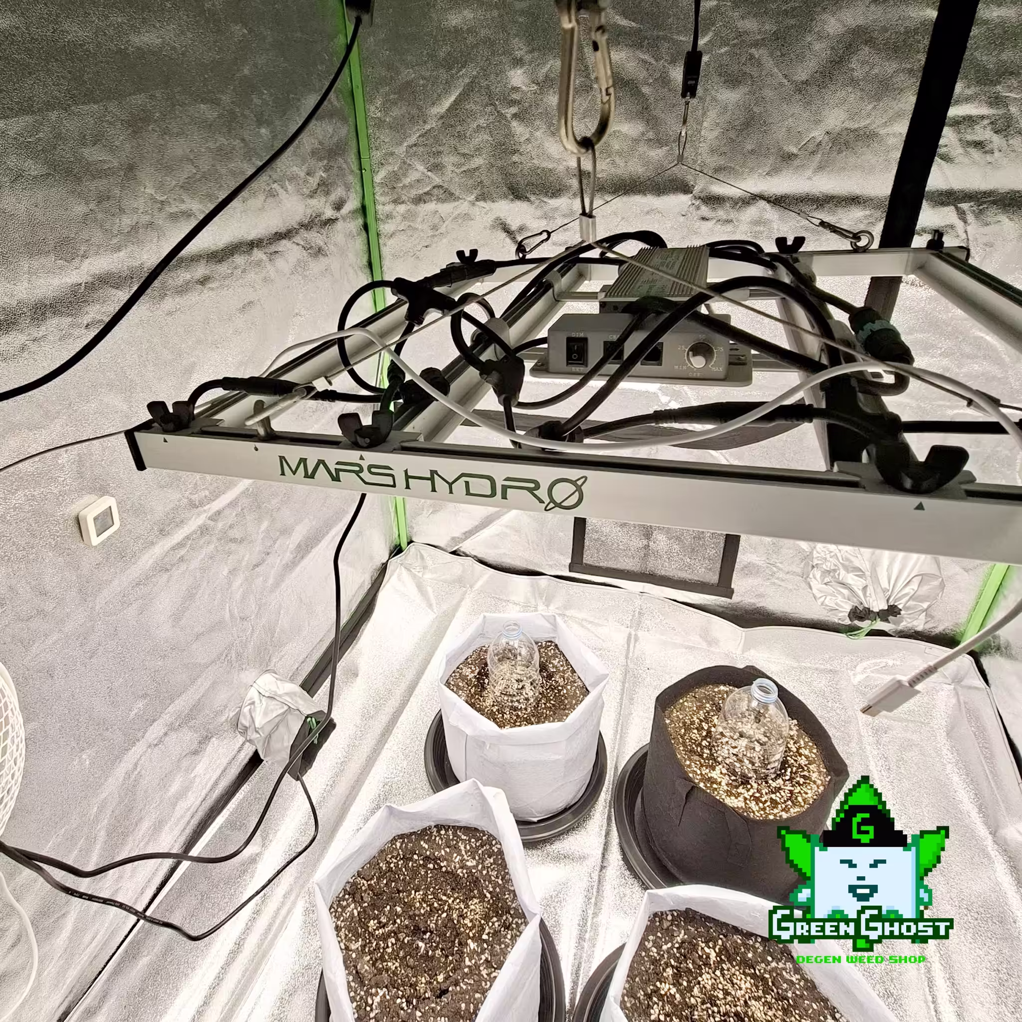 Green Ghost Garden - 17/12/2025