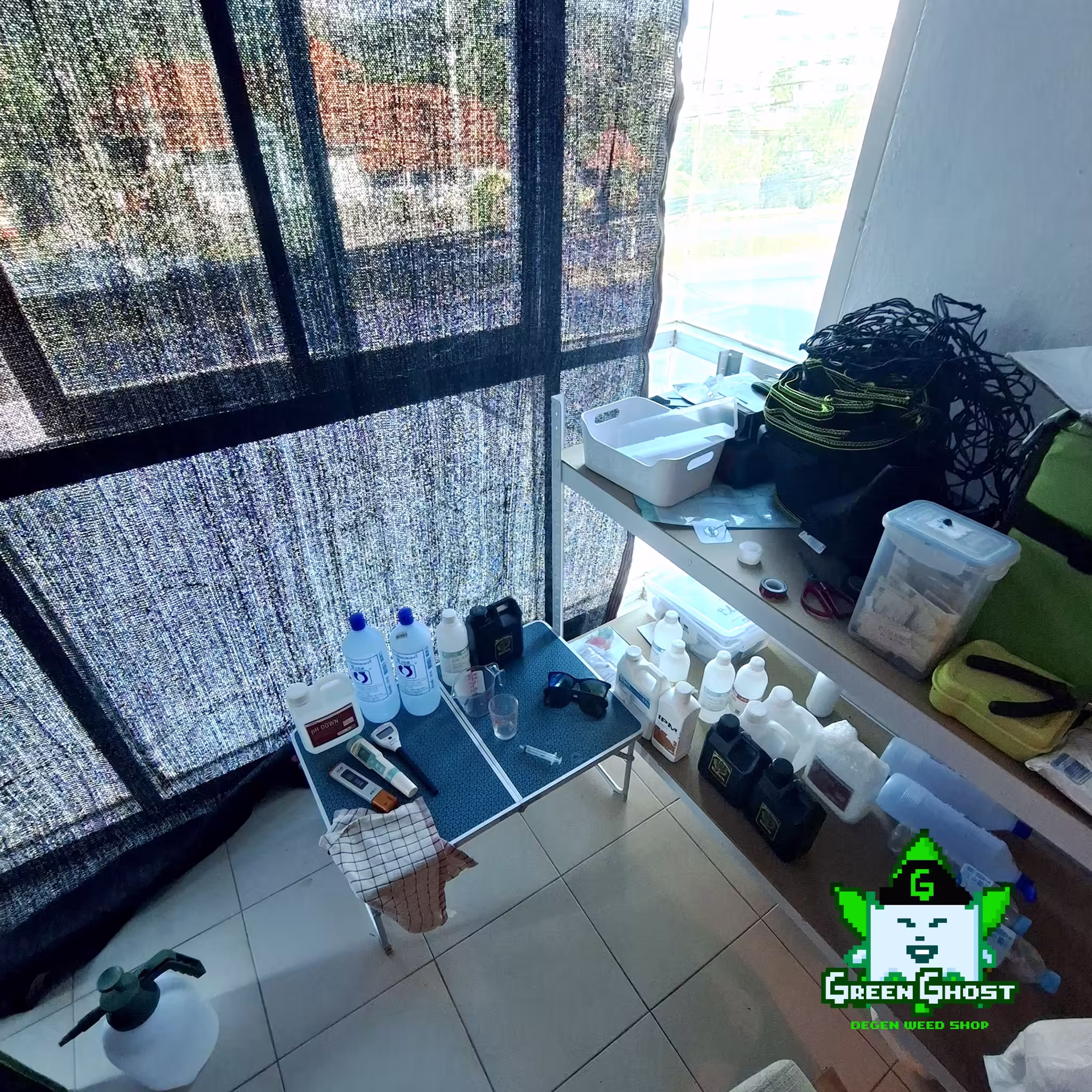 Green Ghost Garden - 1/1/2026