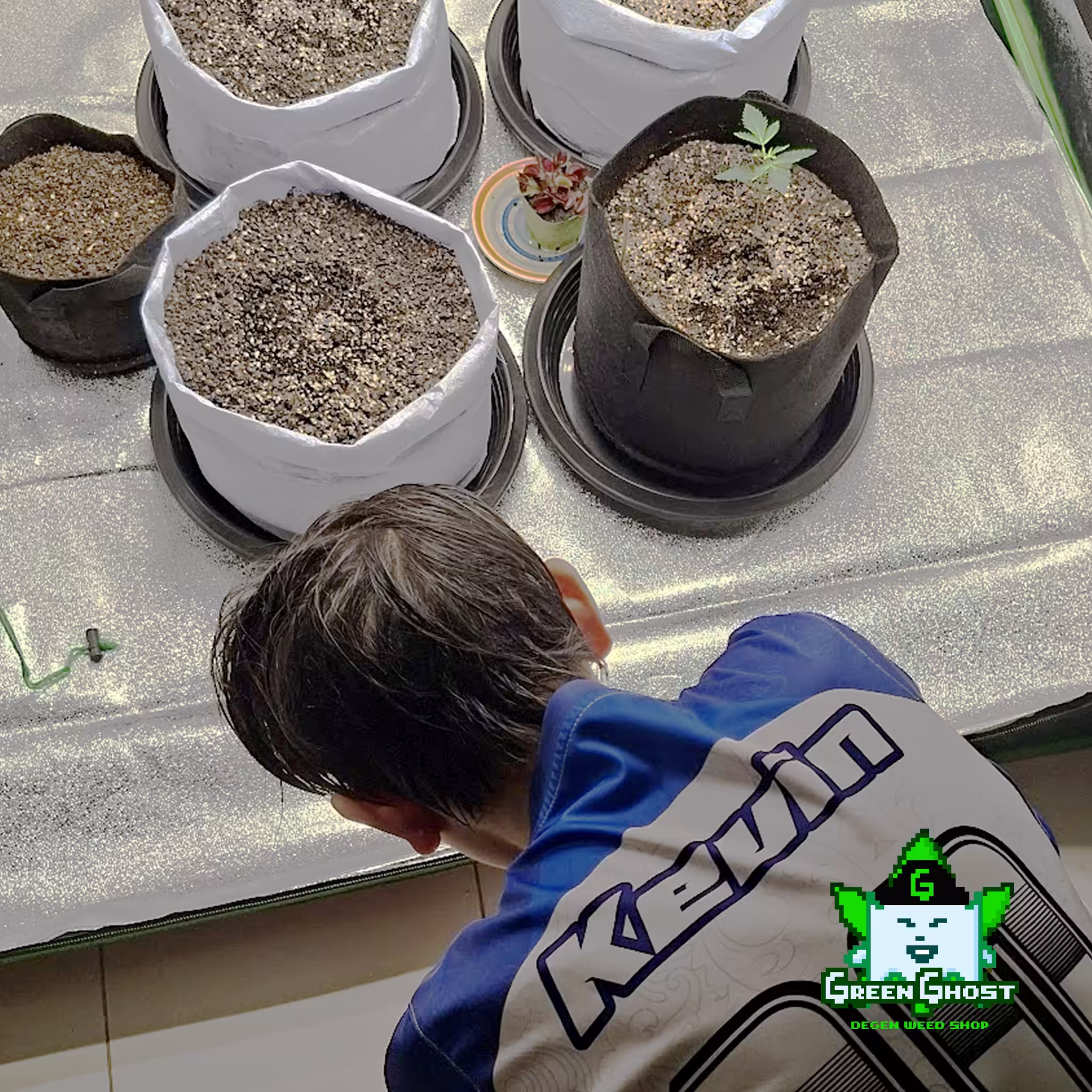 Green Ghost Garden - 10/1/2026