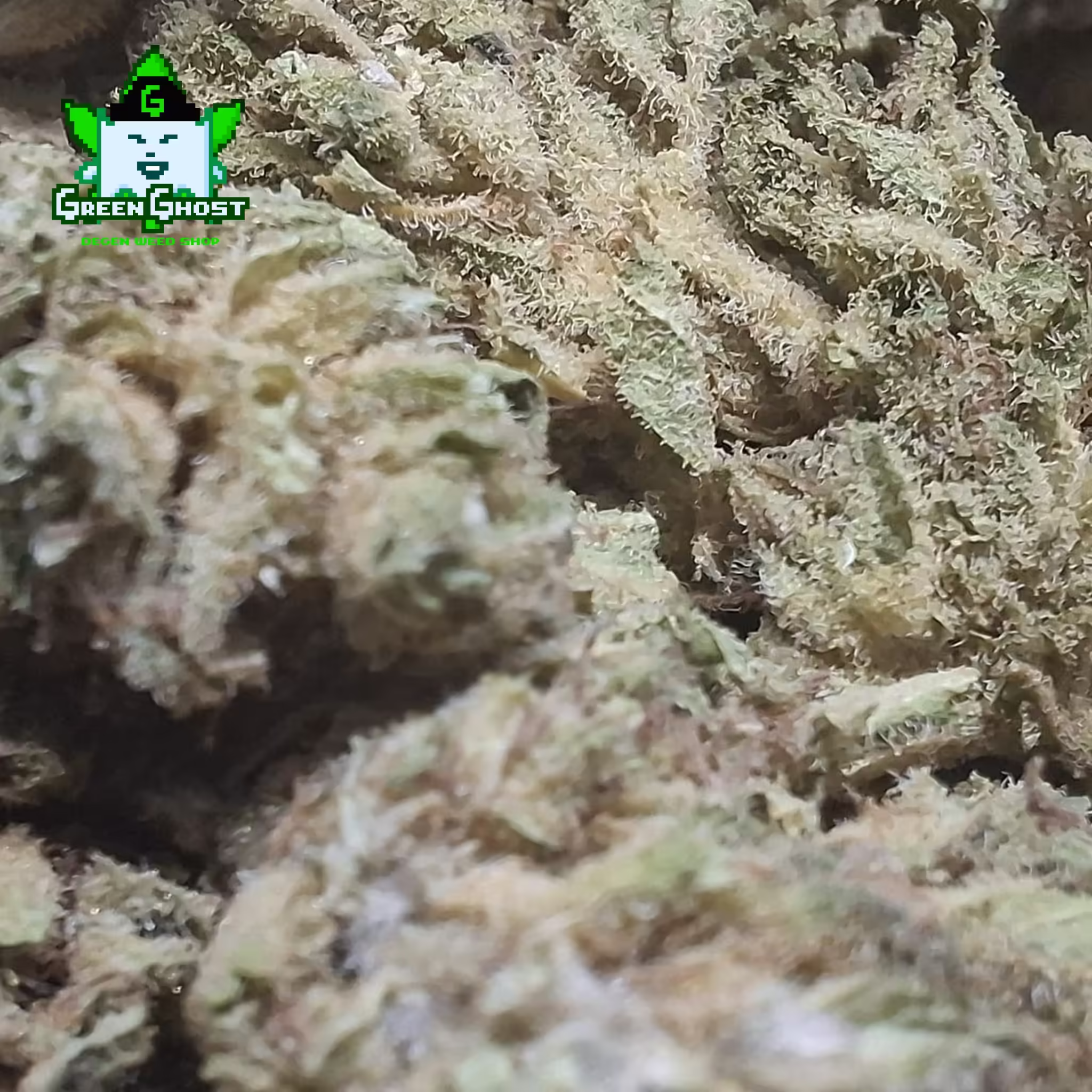 CBD Charlotte's Angel bud 02