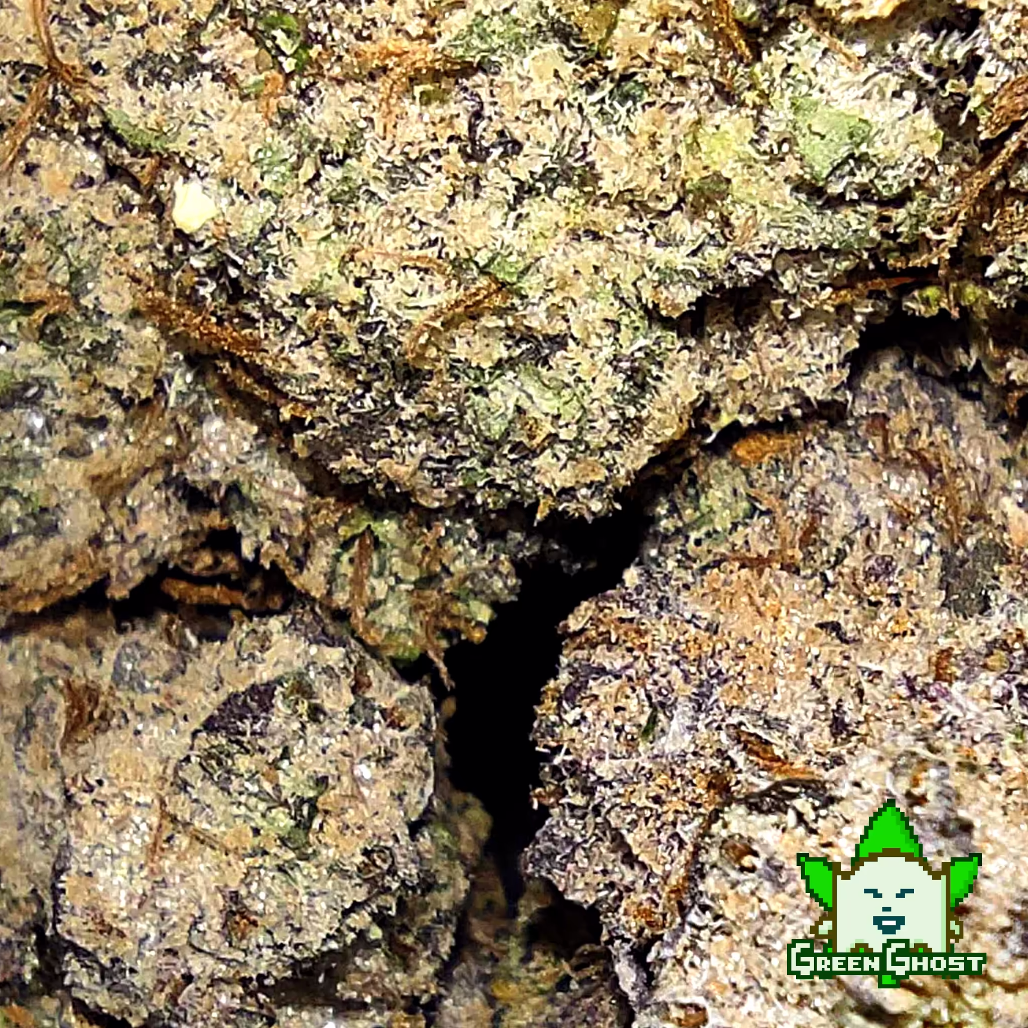 Drippin’ Aint Eazy bud 02