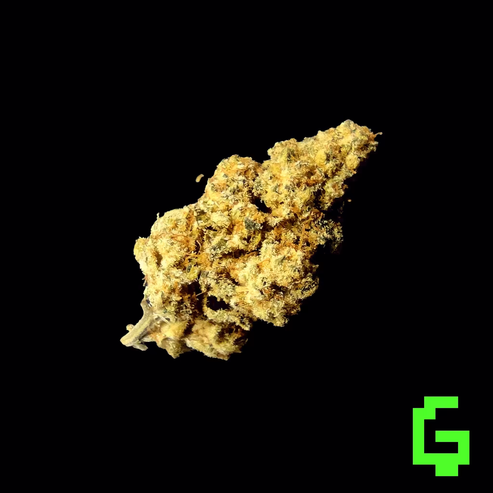 Gelato Runtz bud 01