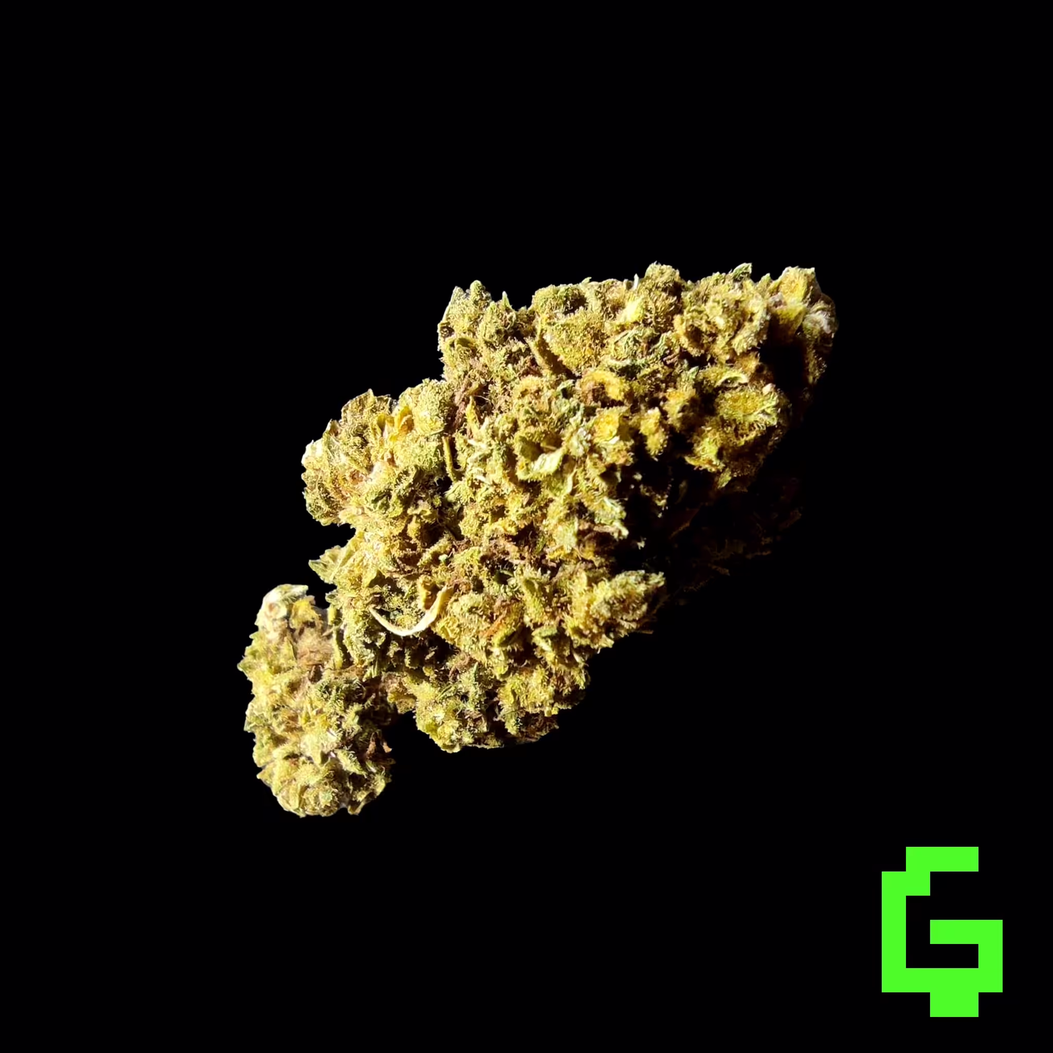 Jack Herer bud 01