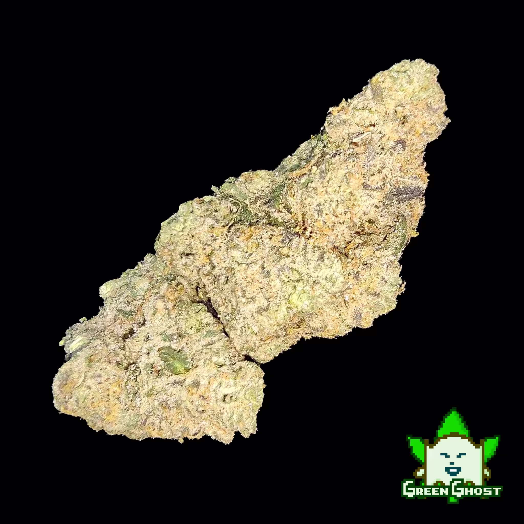 Medellin bud 01