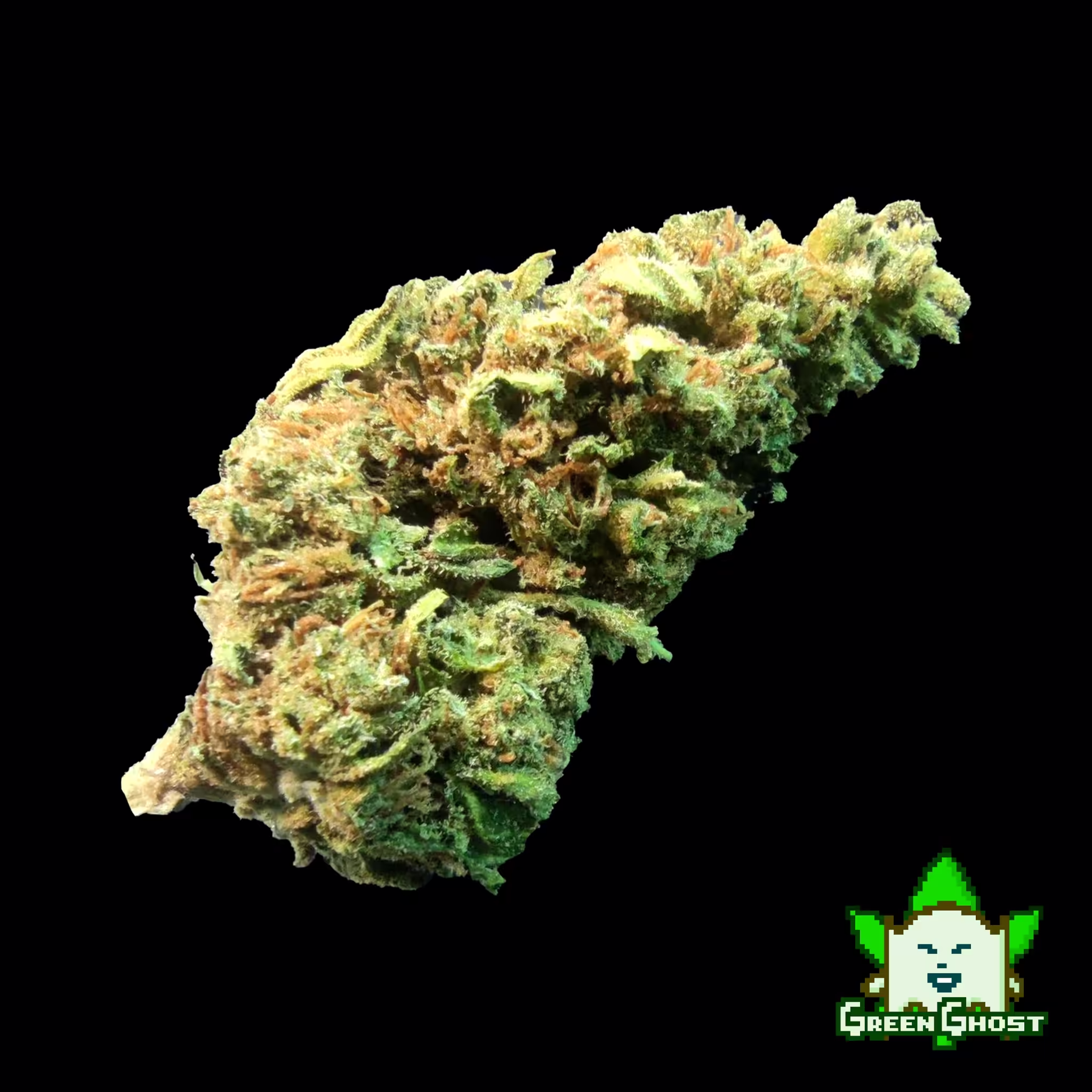 Northern Lights bud 01