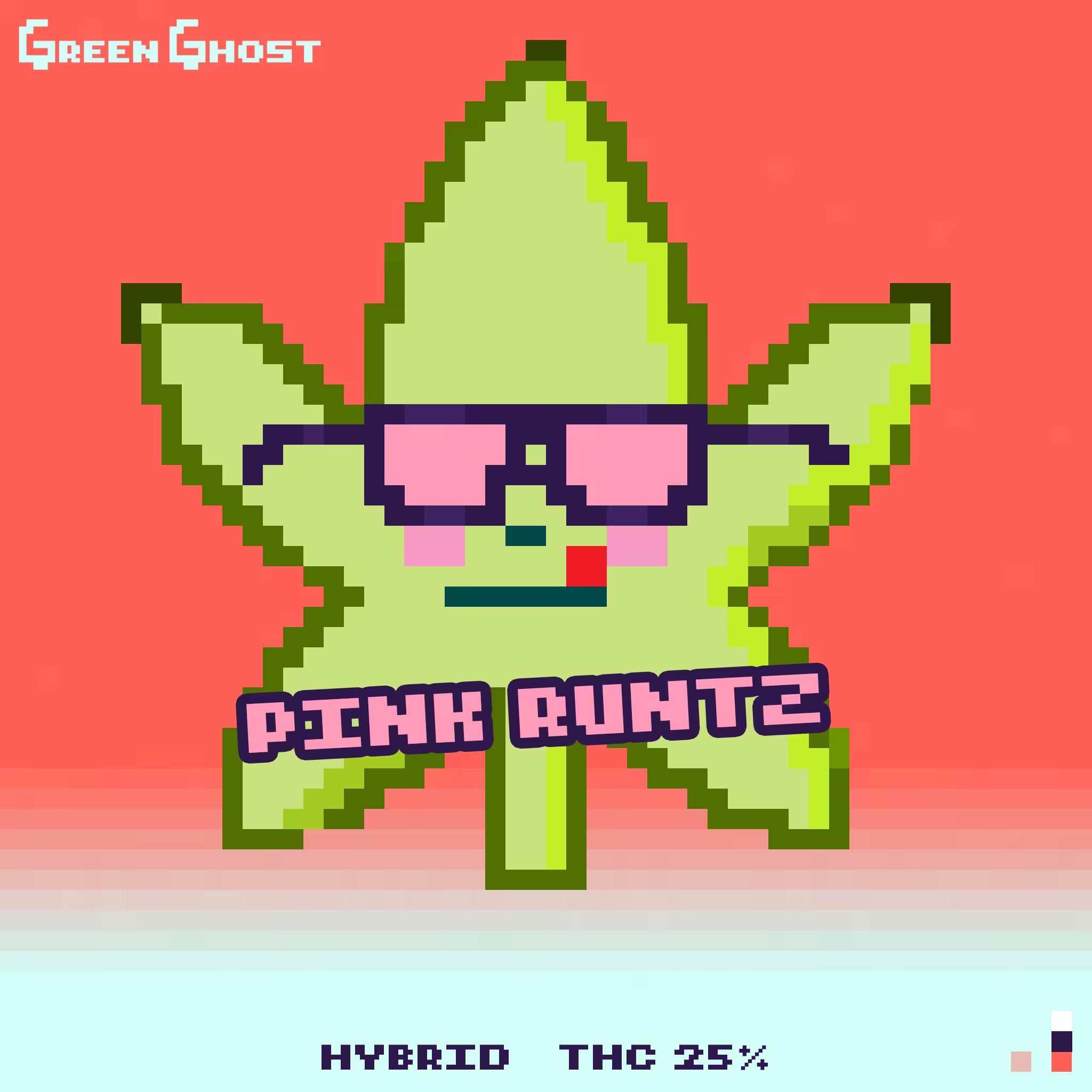Pink Runtz cover