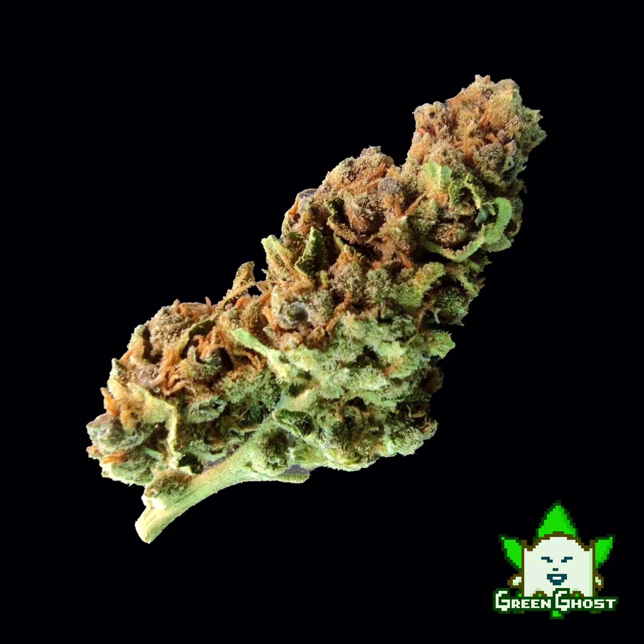 Royal Cheese bud 01